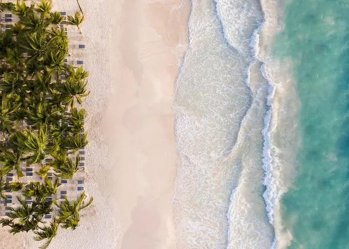 Catalonia Playa Maroma Resort 5*