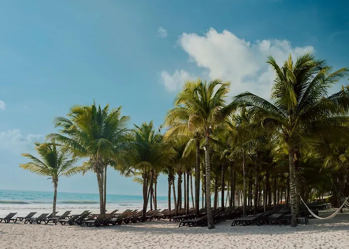 Resort Catalonia Playa Maroma 5*