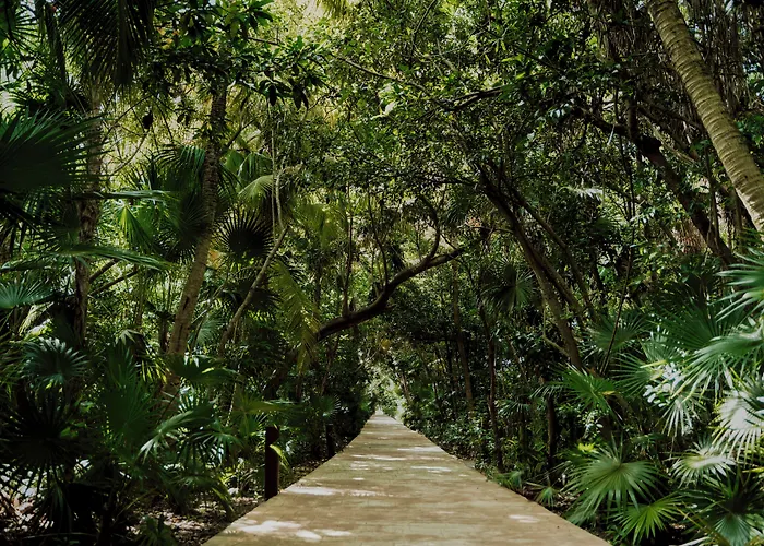 Catalonia Playa Maroma 5* Punta Maroma